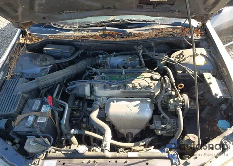 1999 Honda Accord Lx z USA, uszkodzony, nr VIN JHMCG6656XC014717